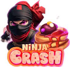 ninja crash